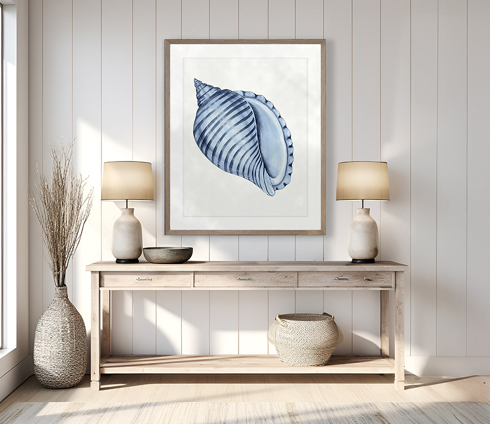 Baudin Shell III