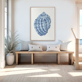 Baudin Shell IV (Canvas) Large (903mm W x 1109mm H)