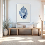 Baudin Shell V (Canvas) Large (903mm W x 1109mm H)