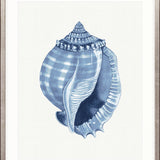 Baudin Shell V Small (465mm W x 560mm H) / Standard Clear Glass