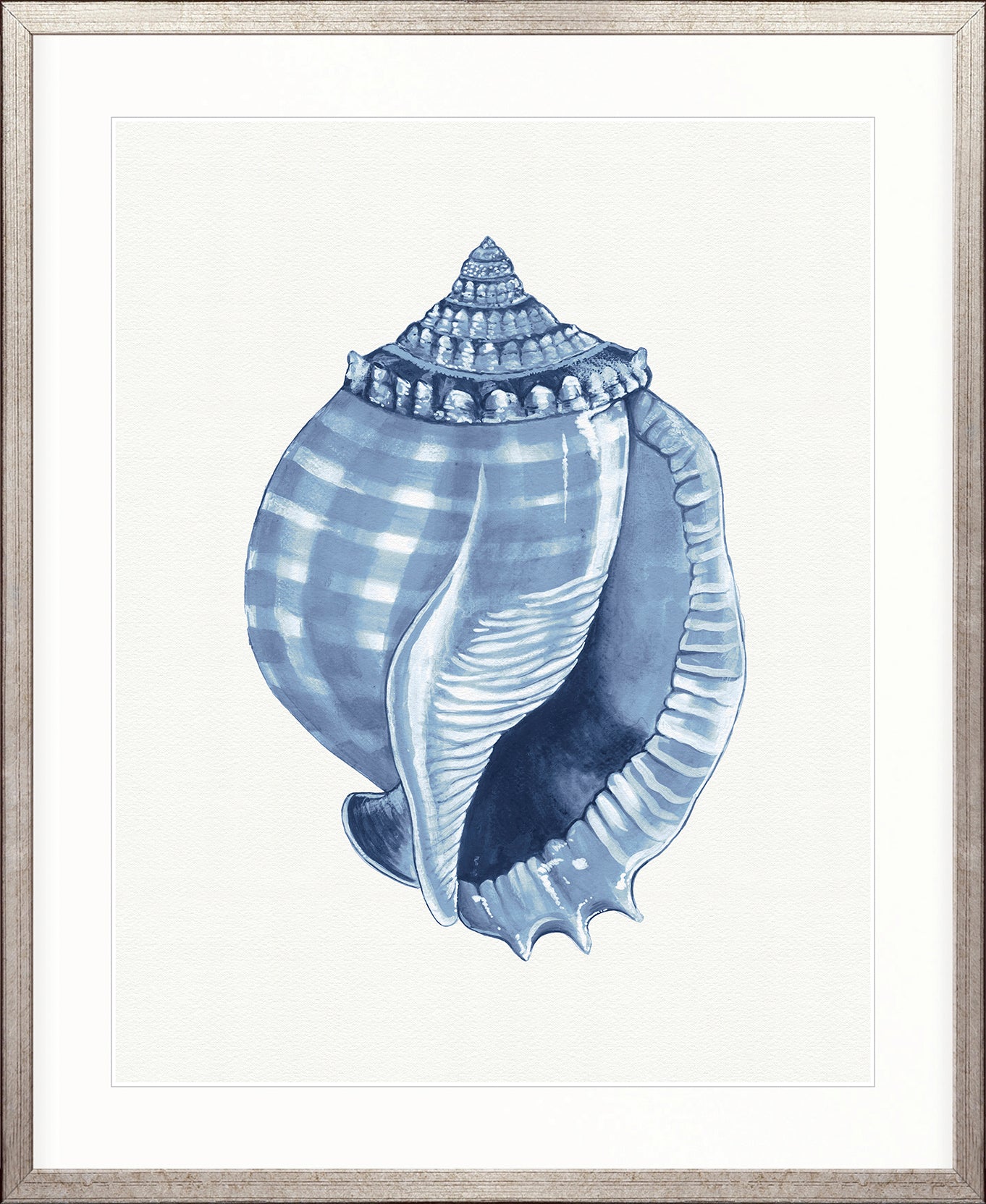 Baudin Shell V
