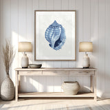 Baudin Shell V Small (465mm W x 560mm H) / Standard Clear Glass