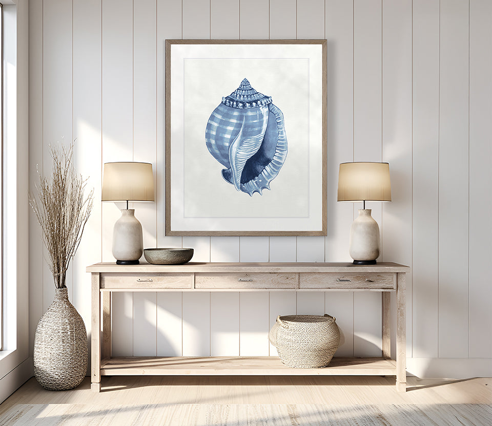 Baudin Shell V