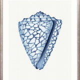 Baudin Shell VI Small (465mm W x 560mm H) / Standard Clear Glass