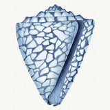 Baudin Shell VI Small (465mm W x 560mm H) / Standard Clear Glass
