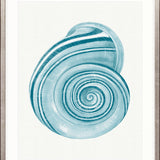 Baudin Shell VII Small (465mm W x 560mm H) / Standard Clear Glass