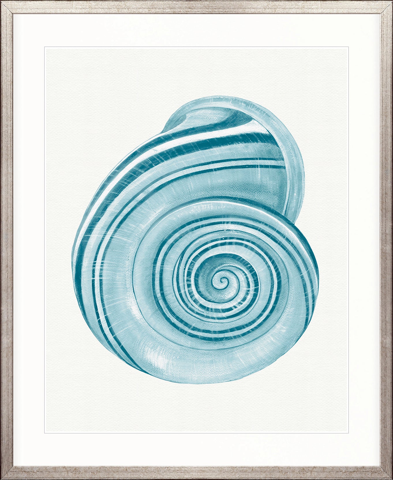 Baudin Shell VII