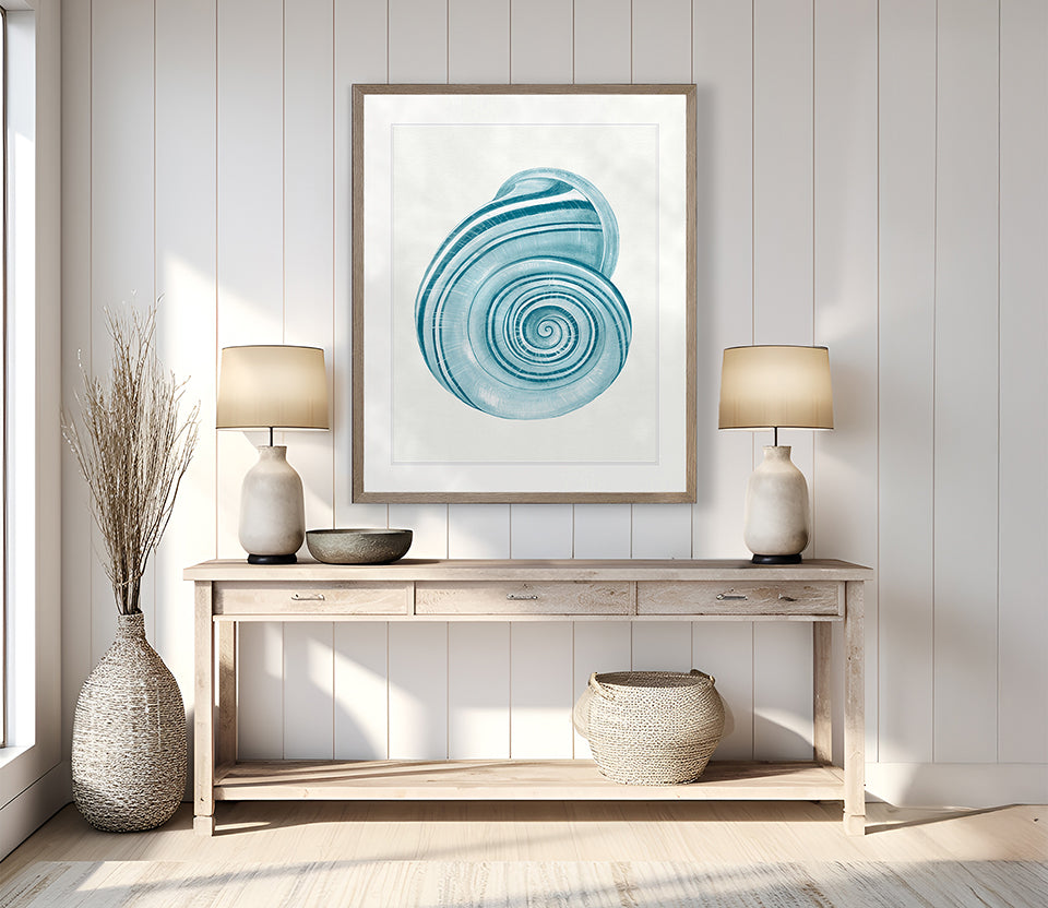 Baudin Shell VII