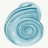 Baudin Shell VII Small (465mm W x 560mm H) / Standard Clear Glass