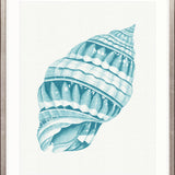 Baudin Shell VIII Small (465mm W x 560mm H) / Standard Clear Glass