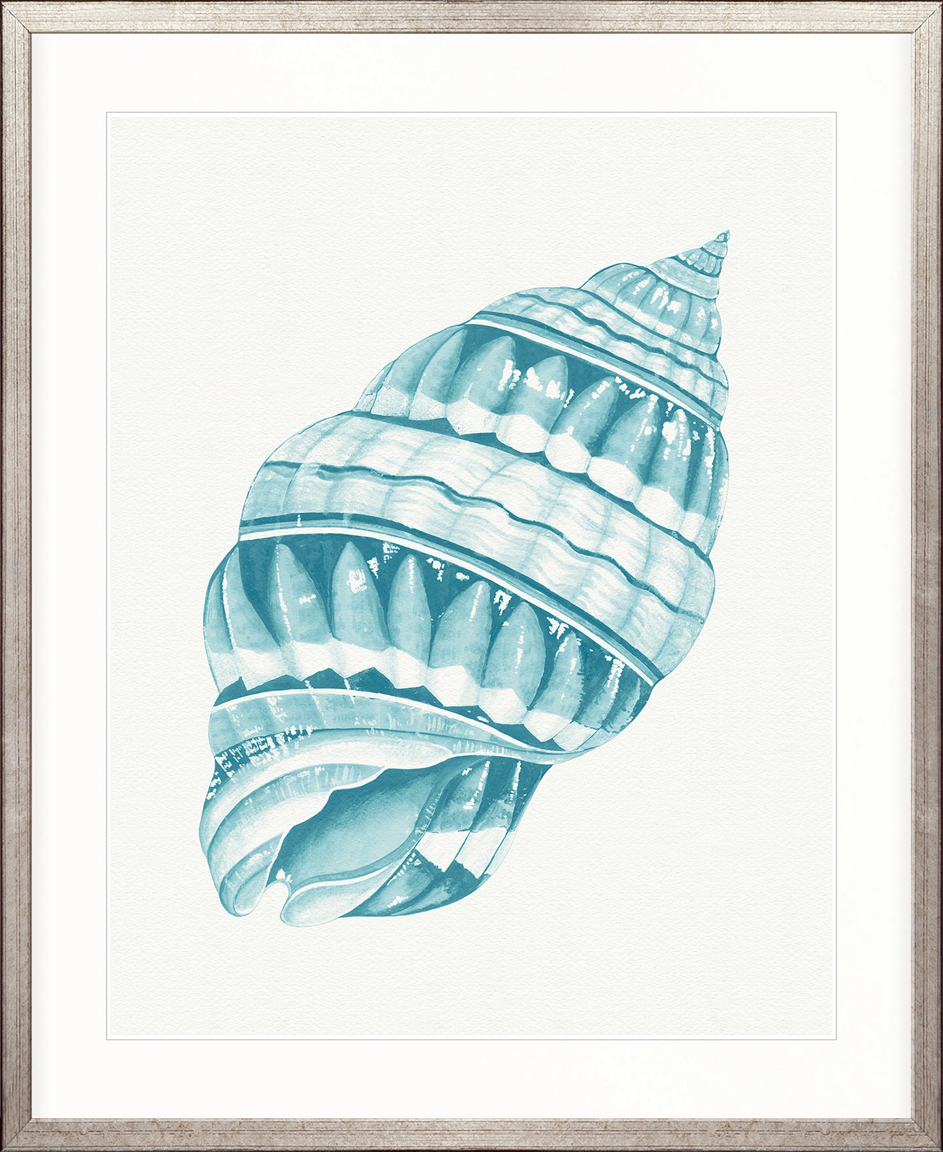 Baudin Shell VIII