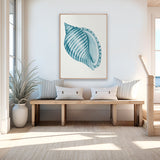 Baudin Shell IX (Canvas) Large (903mm W x 1109mm H)