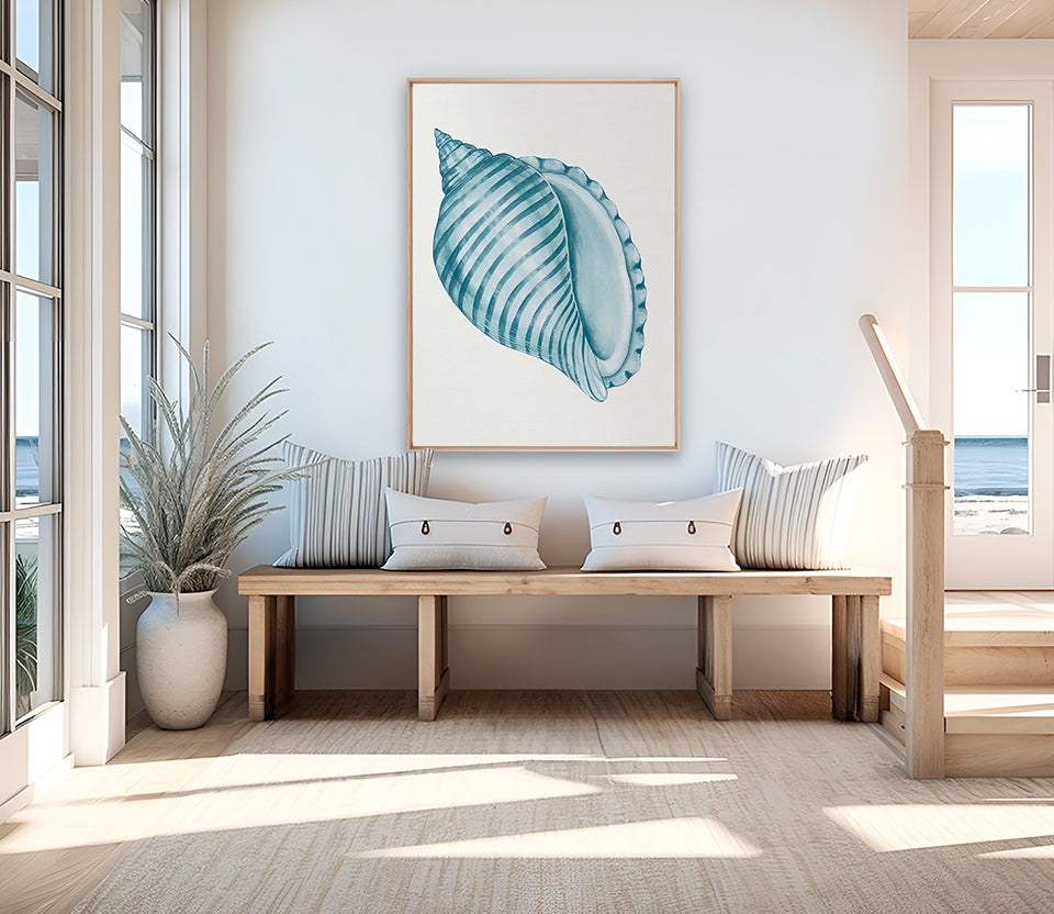 Baudin Shell IX (Canvas)