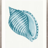 Baudin Shell IX Small (465mm W x 560mm H) / Standard Clear Glass