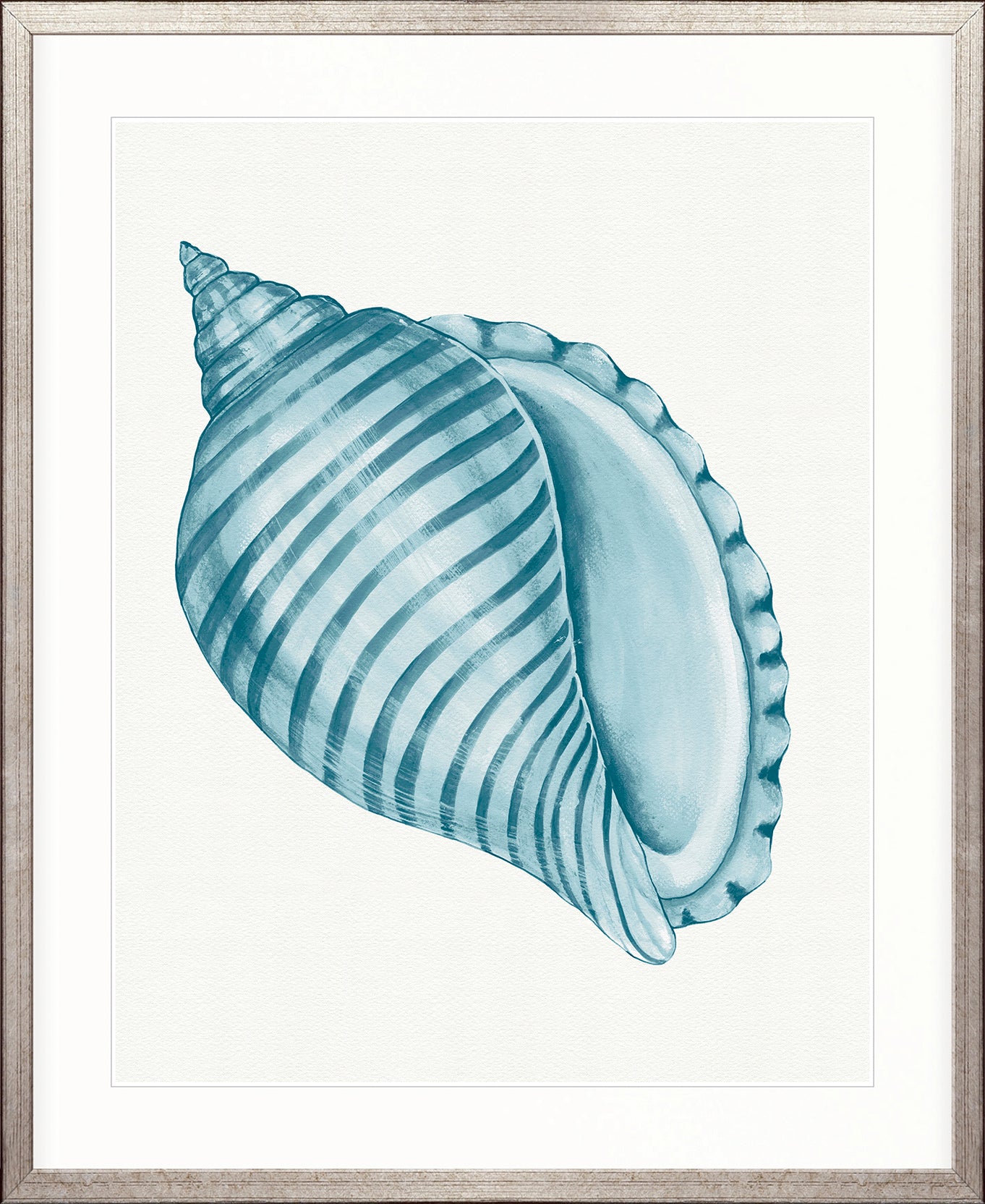 Baudin Shell IX