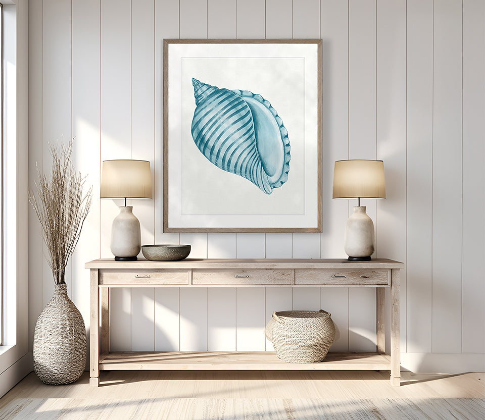 Baudin Shell IX