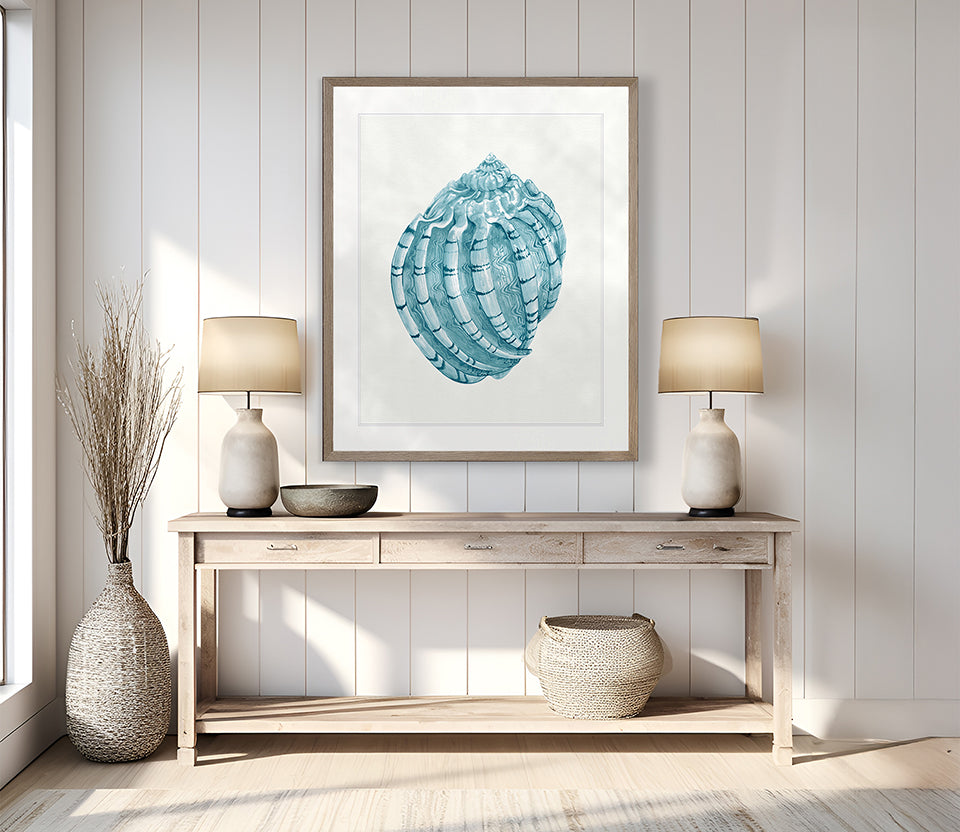 Baudin Shell X