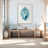 Baudin Shell XI (Canvas) Large (903mm W x 1109mm H)