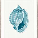 Baudin Shell XI Small (465mm W x 560mm H) / Standard Clear Glass