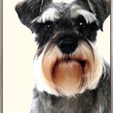 Baxter I (Canvas)