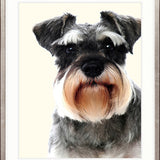 Baxter I