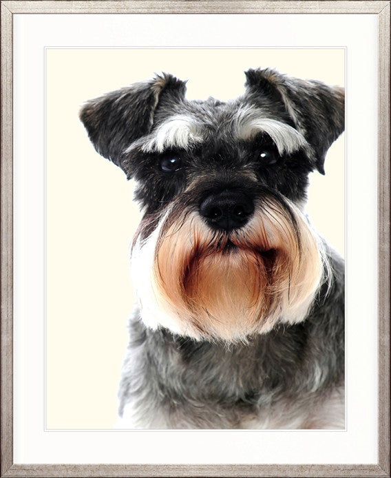Baxter I