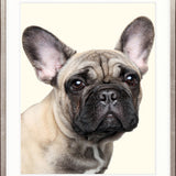 Baxter II