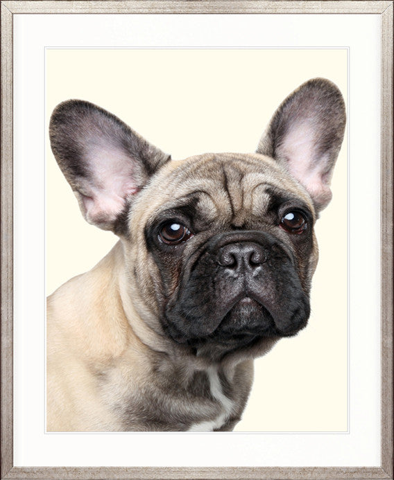 Baxter II