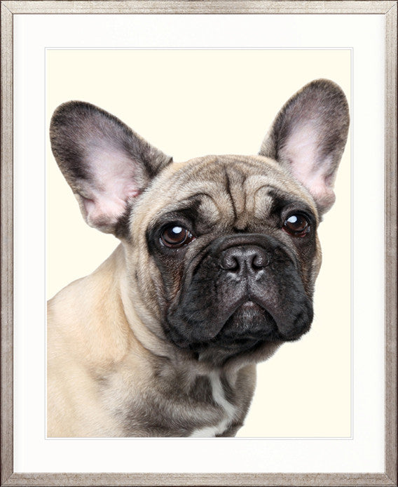 Baxter II