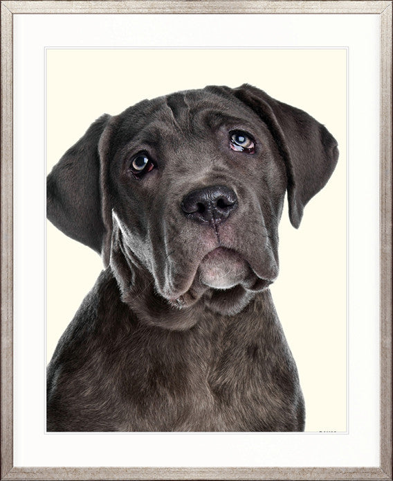 Baxter III