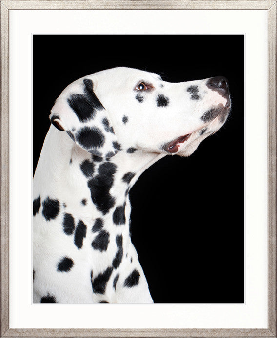 Baxter IV