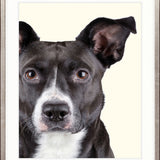 Baxter V