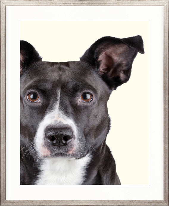 Baxter V