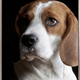 Baxter VI (Canvas)