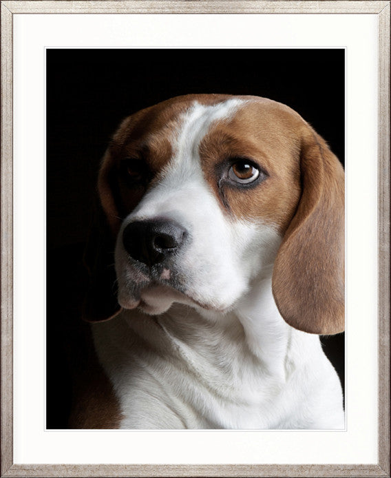 Baxter VI