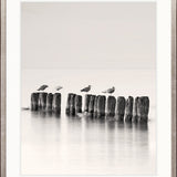 Tranquil Bay  IV