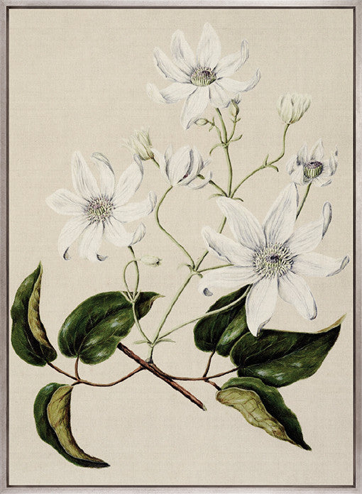 Coastal Native I (Canvas)