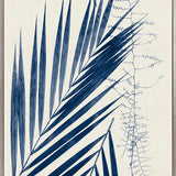 Delicate Frond III (Indigo) (Canvas)
