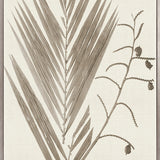 Delicate Frond VII (Taupe) (Canvas)