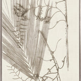 Delicate Frond XI (Taupe) (Canvas)