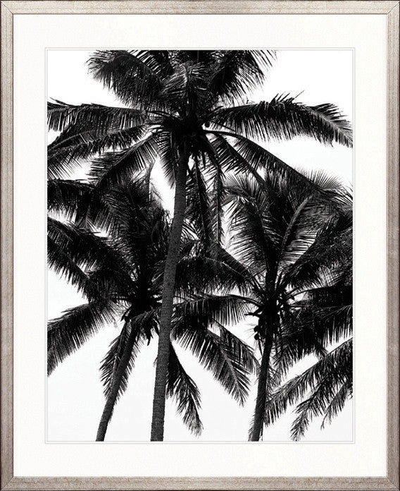 Palm Silhouette I
