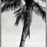 Palm Silhouette II (Canvas)