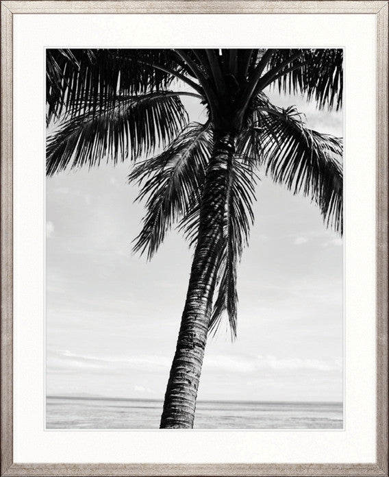 Palm Silhouette II
