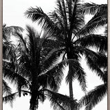 Palm Silhouette III (Canvas)