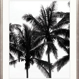 Palm Silhouette III