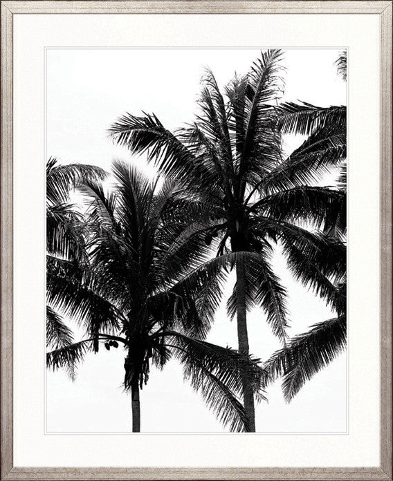 Palm Silhouette III