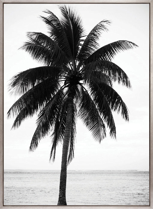 Palm Silhouette IV (Canvas)