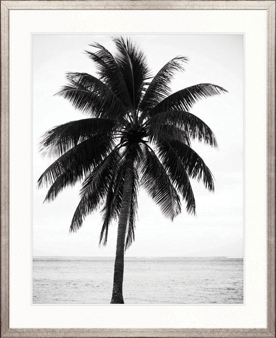 Palm Silhouette IV