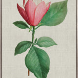 Bella Floral Beauty IV (Canvas)