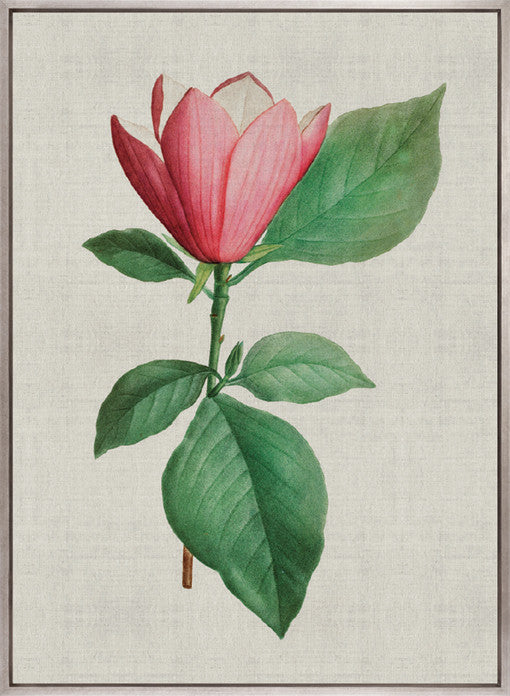Bella Floral Beauty IV (Canvas)